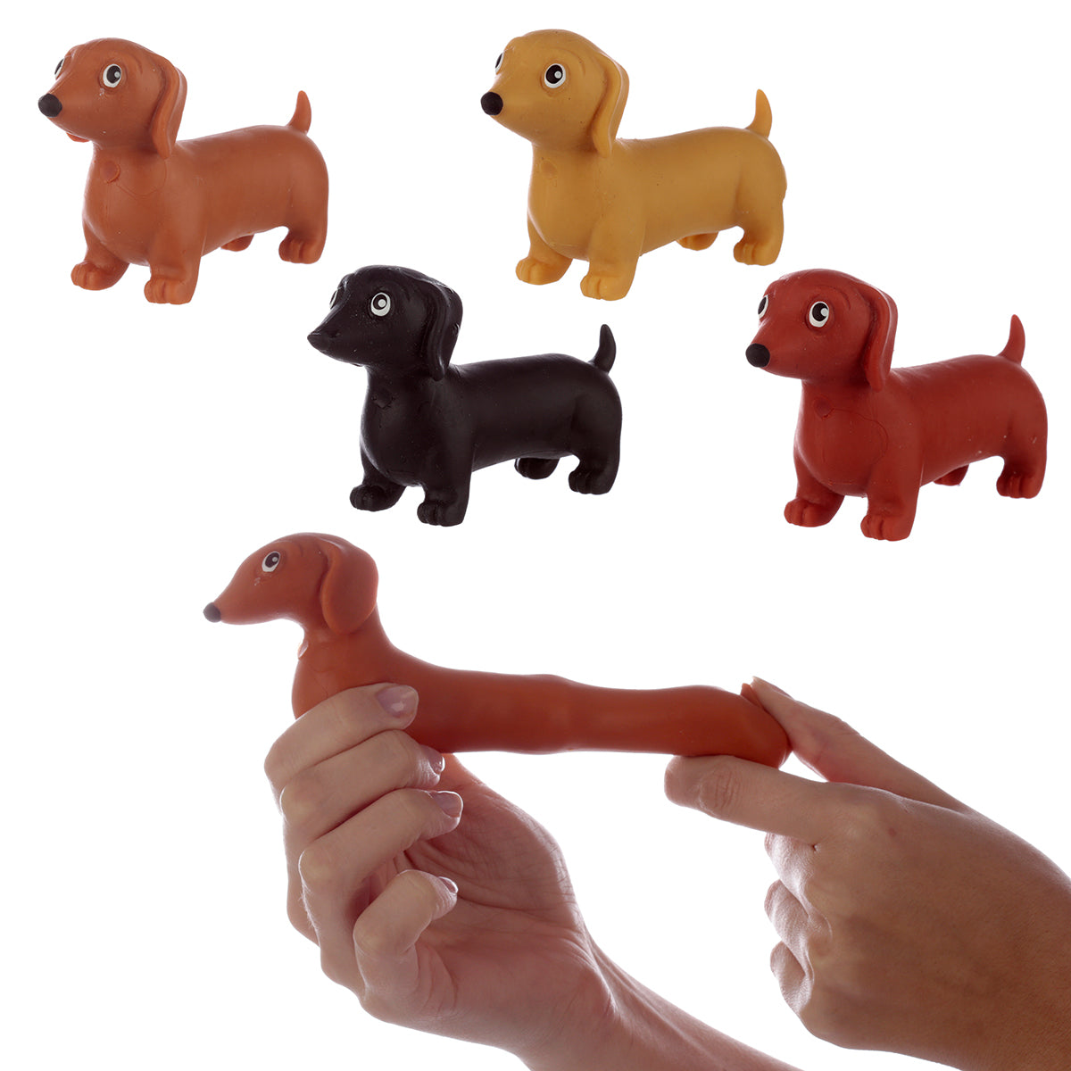 BASSET ÉLASTIQUE - ASSORTI 🔶