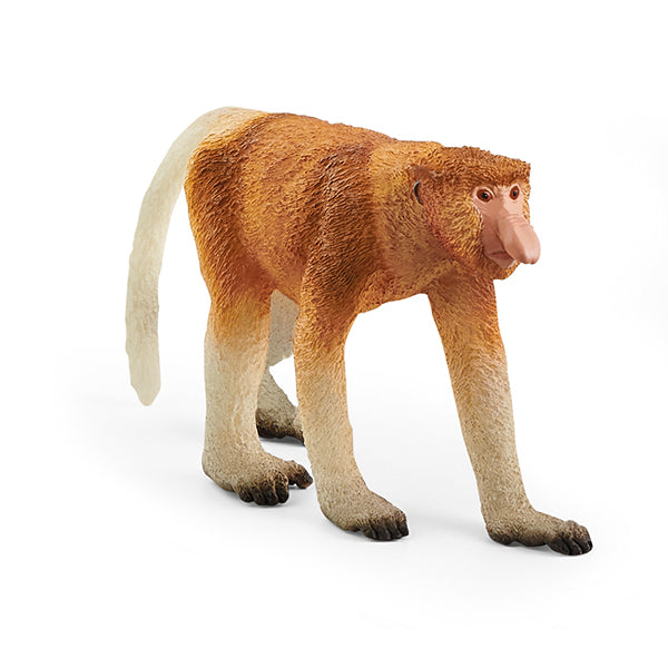 NOSO MONKEY - SNEAK 🔶