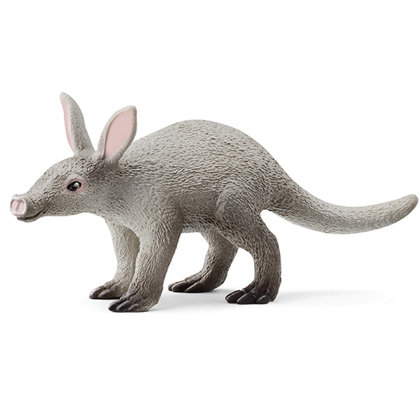 AARDVARK - SNEAK 🔶