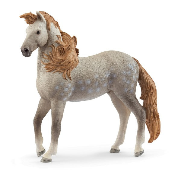 ETALON ANDALOU - SCHLEICH 🔶