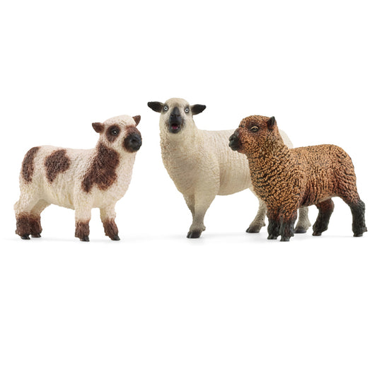AMICI PECORE - SCHLEICH 🔶