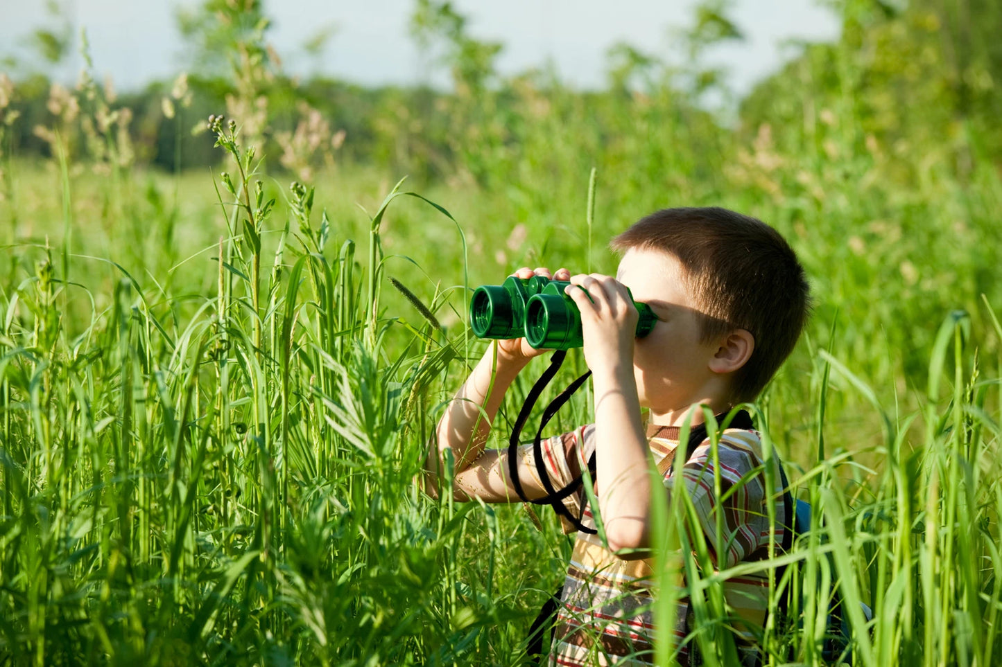 GRÜNES FERNGlas, 3-FACHE VERGRÖSSERUNG