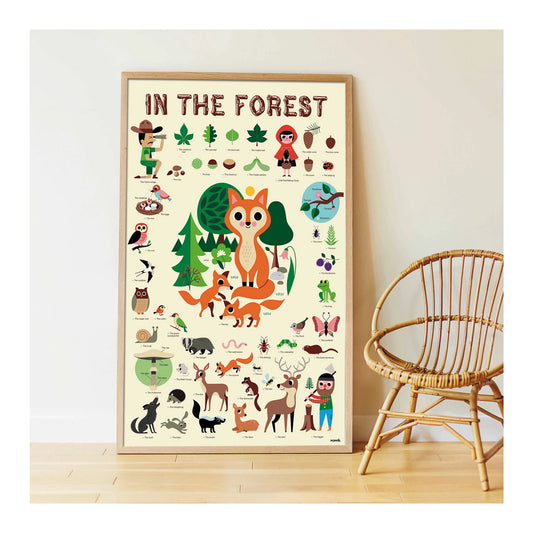 ADESIVI PER POSTER DIDATTICI SULLA FORESTA
