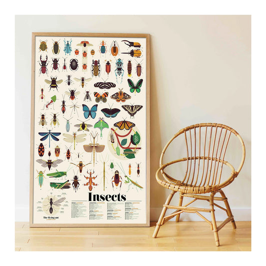 POSTER DIDATTICO CON ADESIVI SUGLI INSETTI