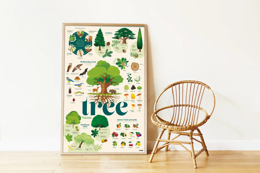 POSTER ADESIVI DIDATTICI SUGLI ALBERI