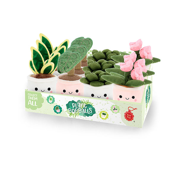 PLANTES BOBBALLS 30 CM 🔶