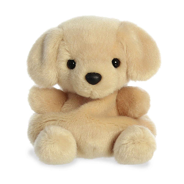 PALM PALS LABRADOR ENSOLEILLÉ 13 CM 🔶