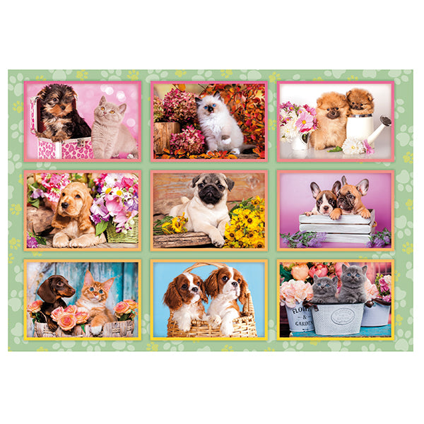 PUZZLE COLLAGE CHIOT – 180 PIÈCES – CLEMENTONI 🔶