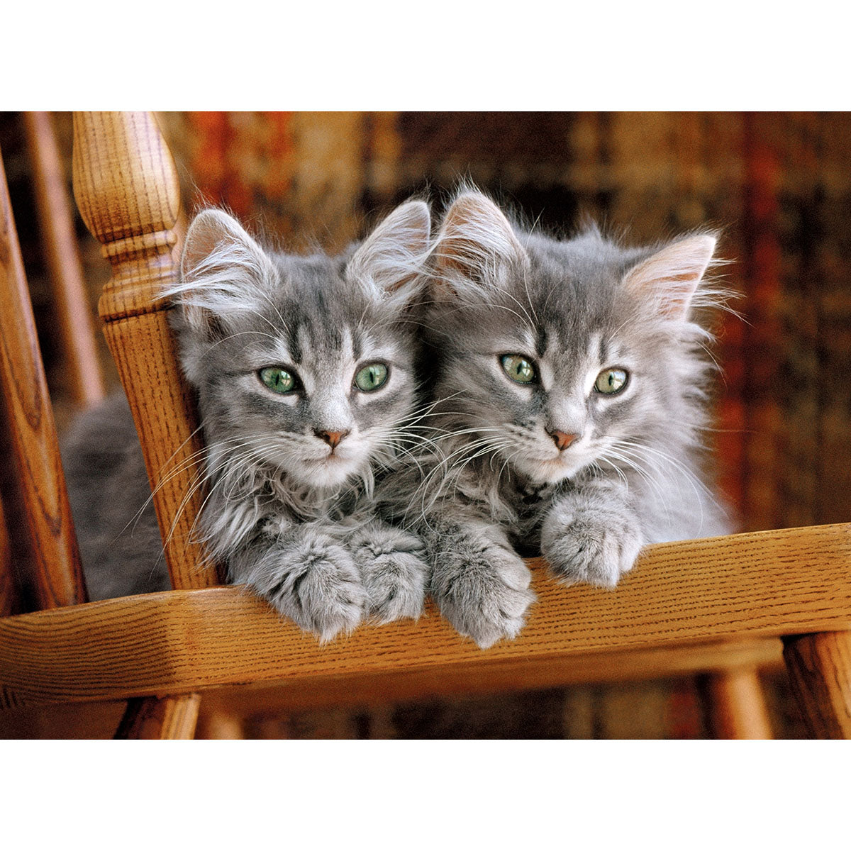 PUZZLE KATZEN – 500 TEILE – CLEMENTONI 🔶