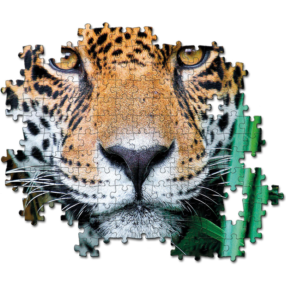 PUZZLE JAGUAR DANS LA JUNGLE – 500 PIÈCES – CLEMENTONI 🔶