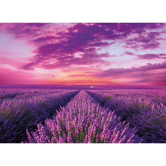 PUZZLE LAVANDE – 1000 PIÈCES – CLEMENTONI 🔶