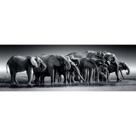 PANORAMA PUZZLE BRANCAGLIA DI GIGANTI – 1000 PIÈCES – CLEMENTONI 🔶