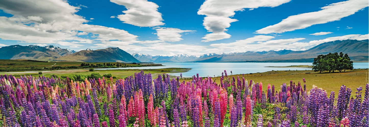 PANORAMA DU LAC TEKAPO 1000 PIÈCES
