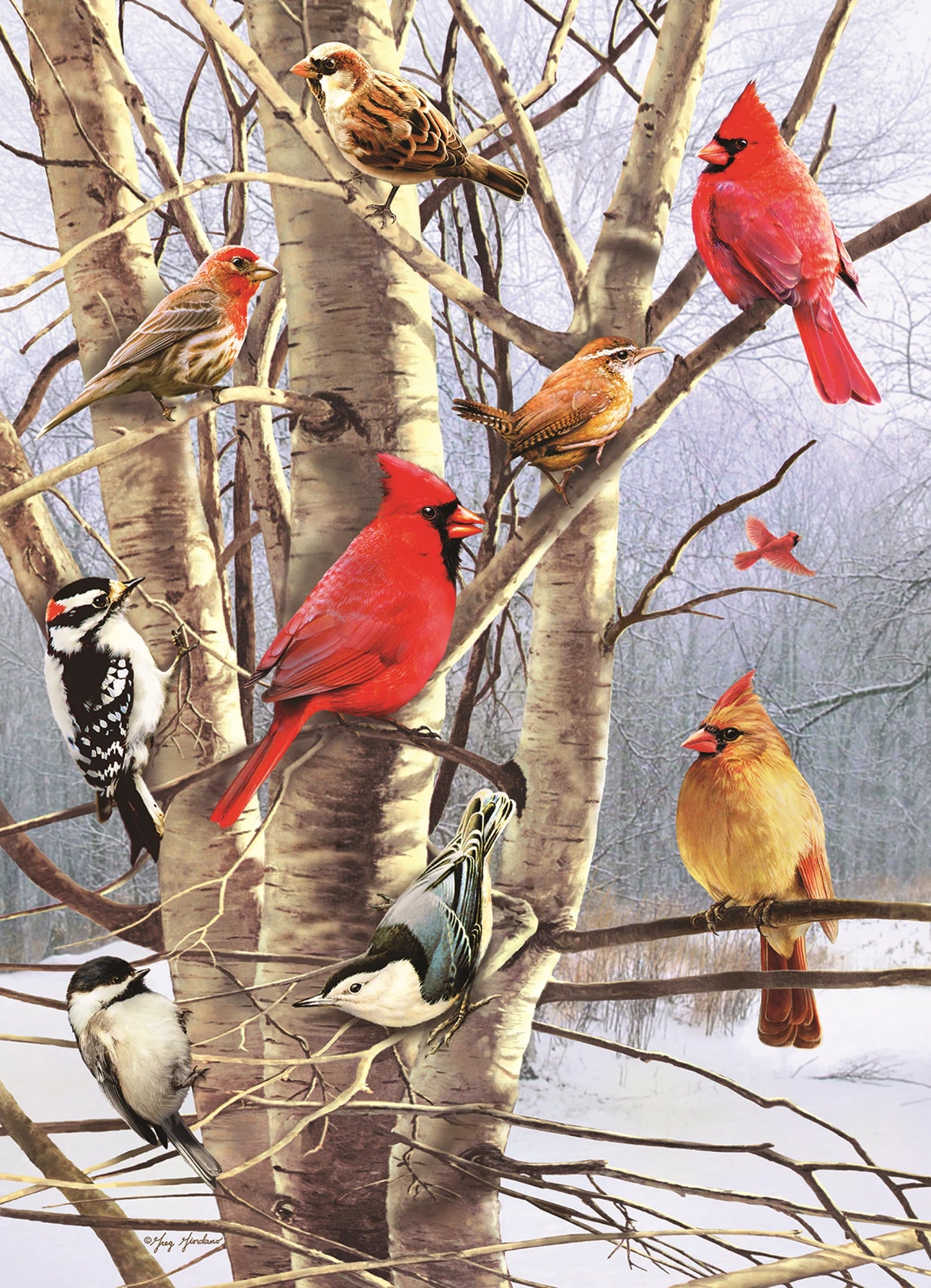 OISEAUX D'HIVER 1000 PIÈCES
