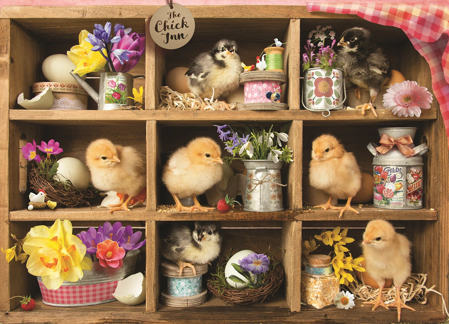 CHICK INN 1000 PEZZI