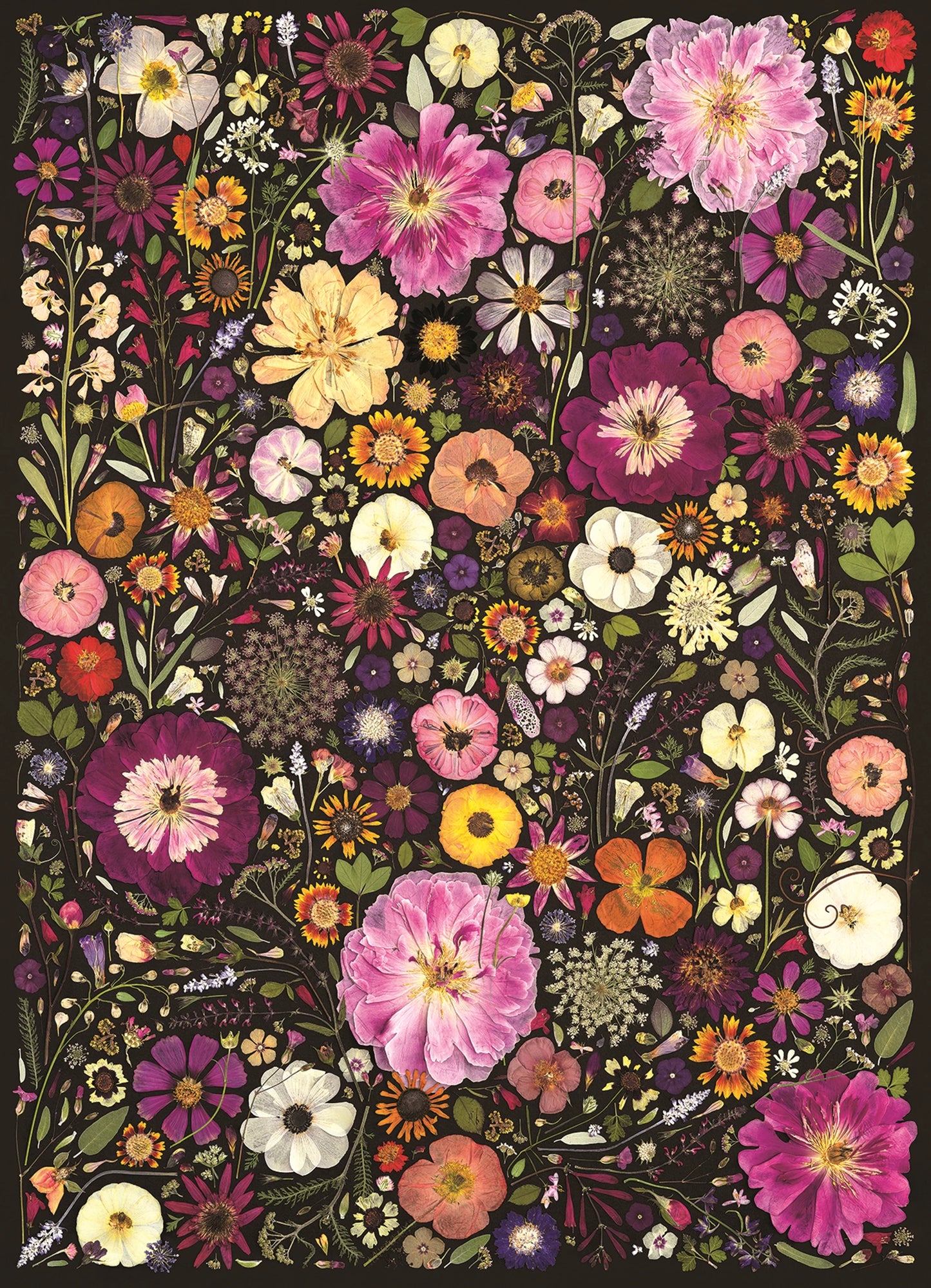 PRESSE À FLEURS: FLEURS ORNEMENTALES, 500 PIÈCES