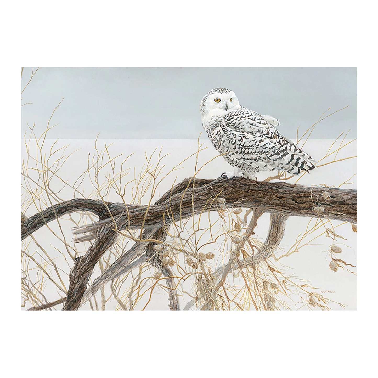 HIBOU HARFANG DES NEIGES SUR UNE BRANCHE, 500 PIÈCES