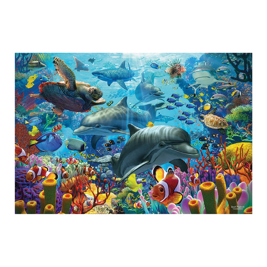 CORAL SEA 2000 PEZZI