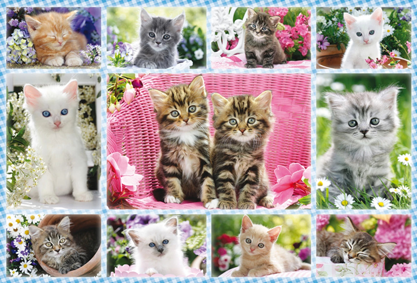 CHATONS 100 PIÈCES