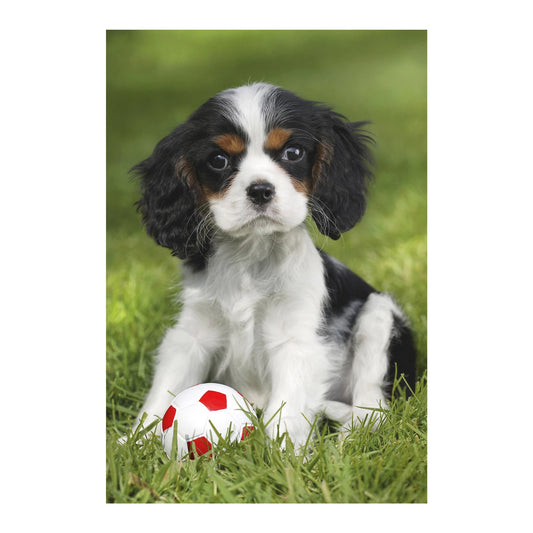 I MIEI CUCCIOLI PREFERITI 3X48 PEZZI