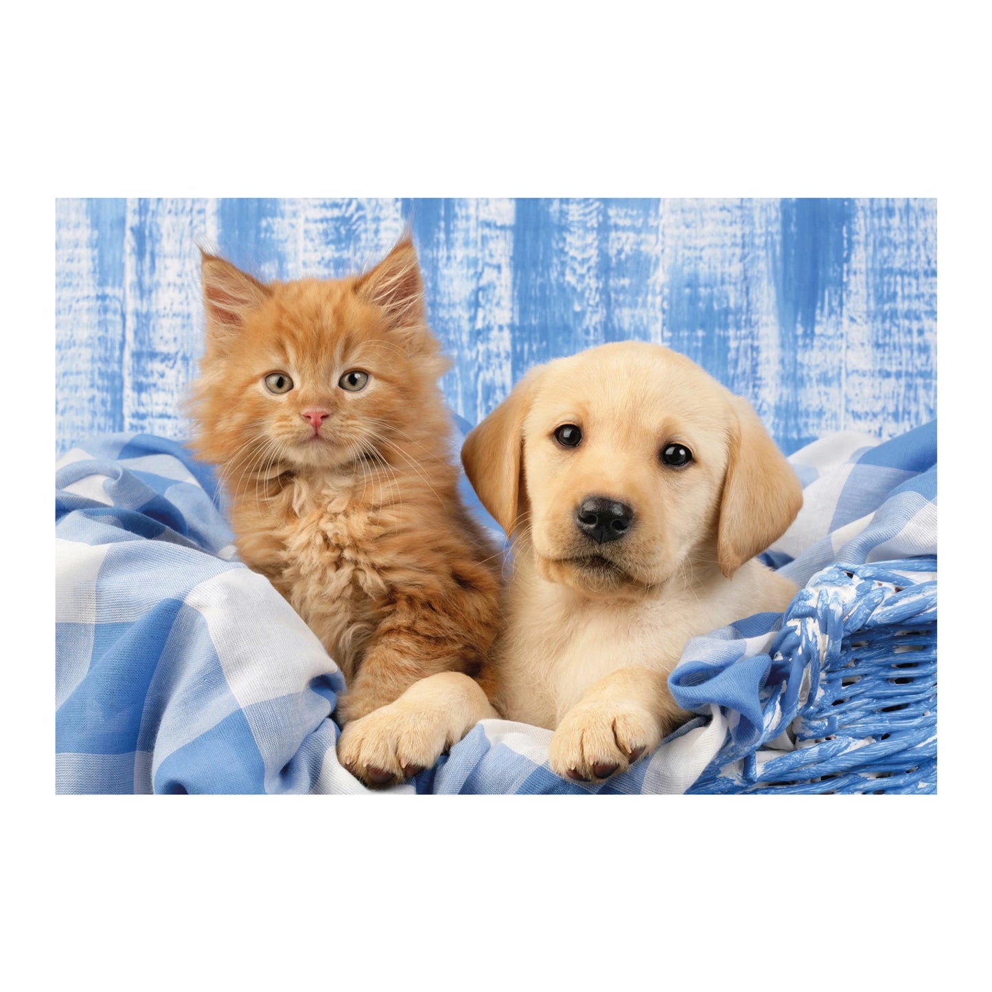 MES ADORABLES CHATONS 3X48 PIÈCES