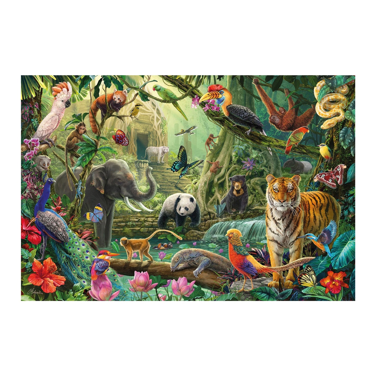 FAUNE SAUVAGE COLORÉE DANS LA JUNGLE 100 PIÈCES