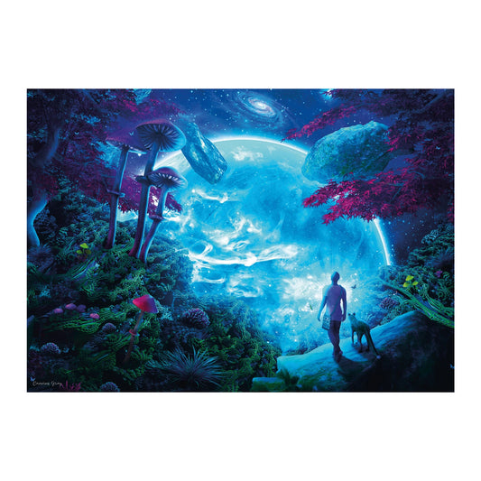 SKY FANTASY 1000 PEZZI