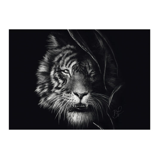TIGRE: NEL SEGNO DELLA LIBERTÀ (1000 PEZZI)