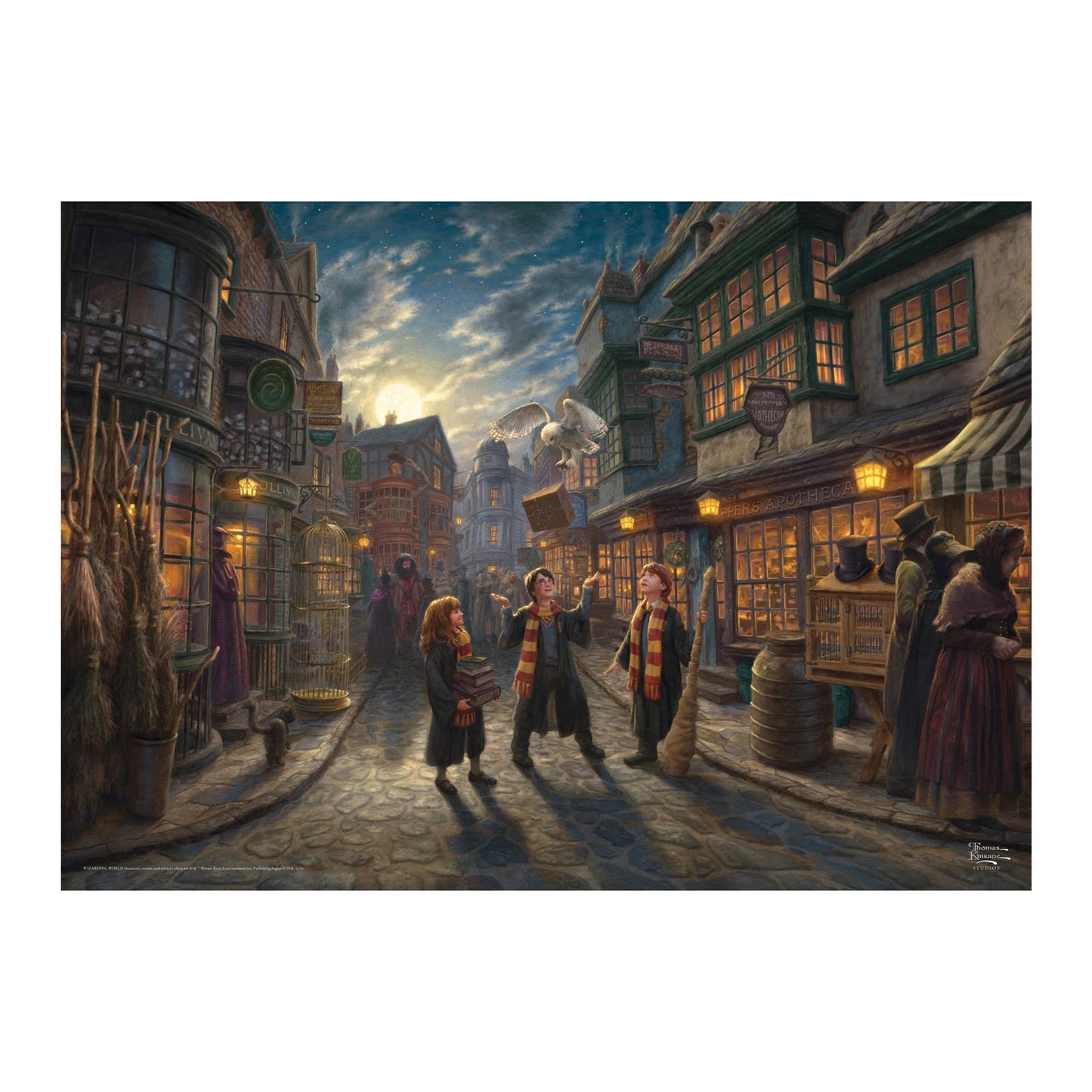 HARRY POTTER: WINKELGASSE 1000 TEILE