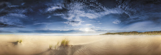 PANORAMA INFINITE WORLD SYLT 1000 PEZZI