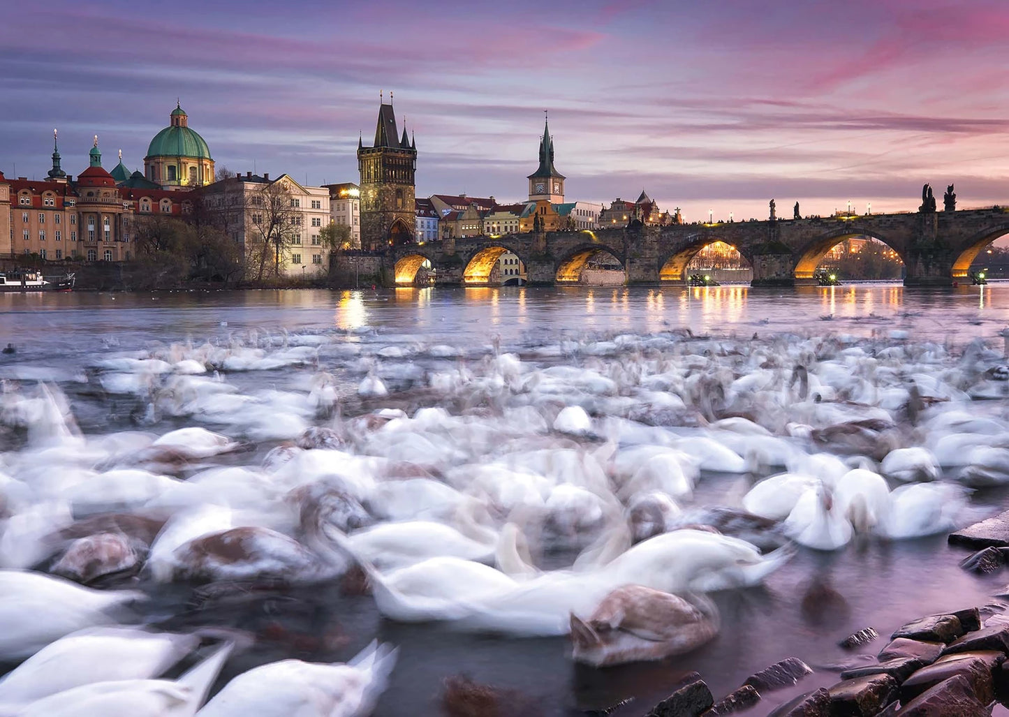 CIGNI DI PRAGA 1000 PEZZI