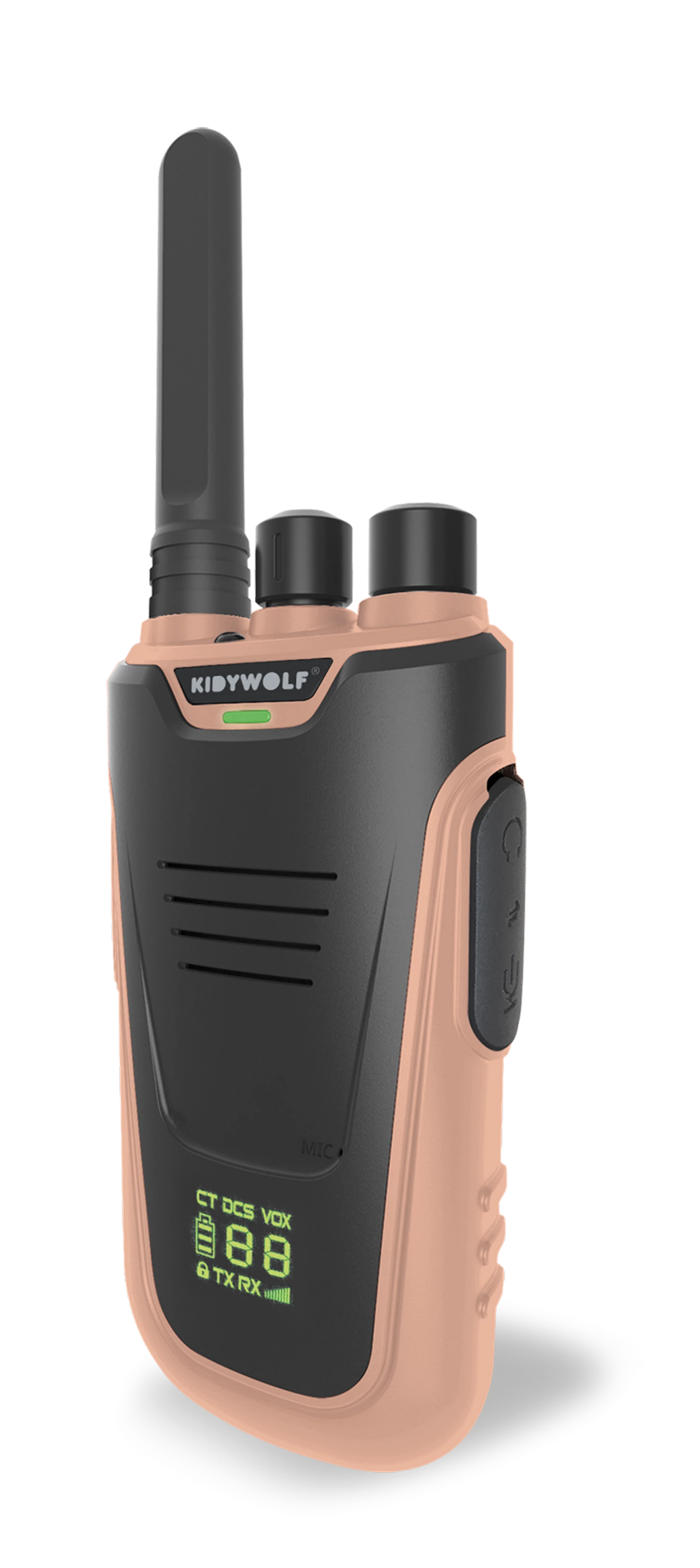 WALKIE-TALKIE AVEC LAMPE DE POCHE, BLEU/ROSE