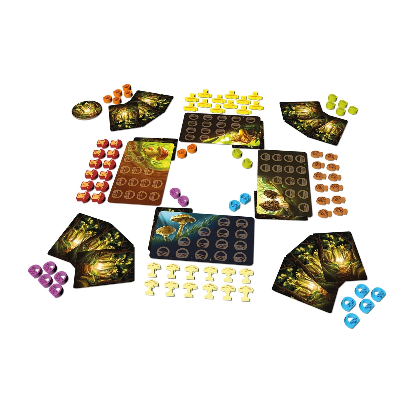 TRÉSORS DE LA FORÊT (D)