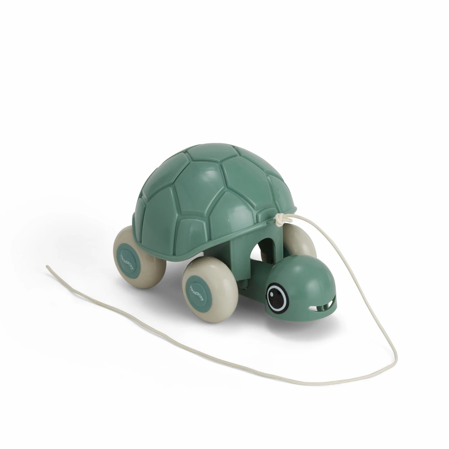 TARTARUGA