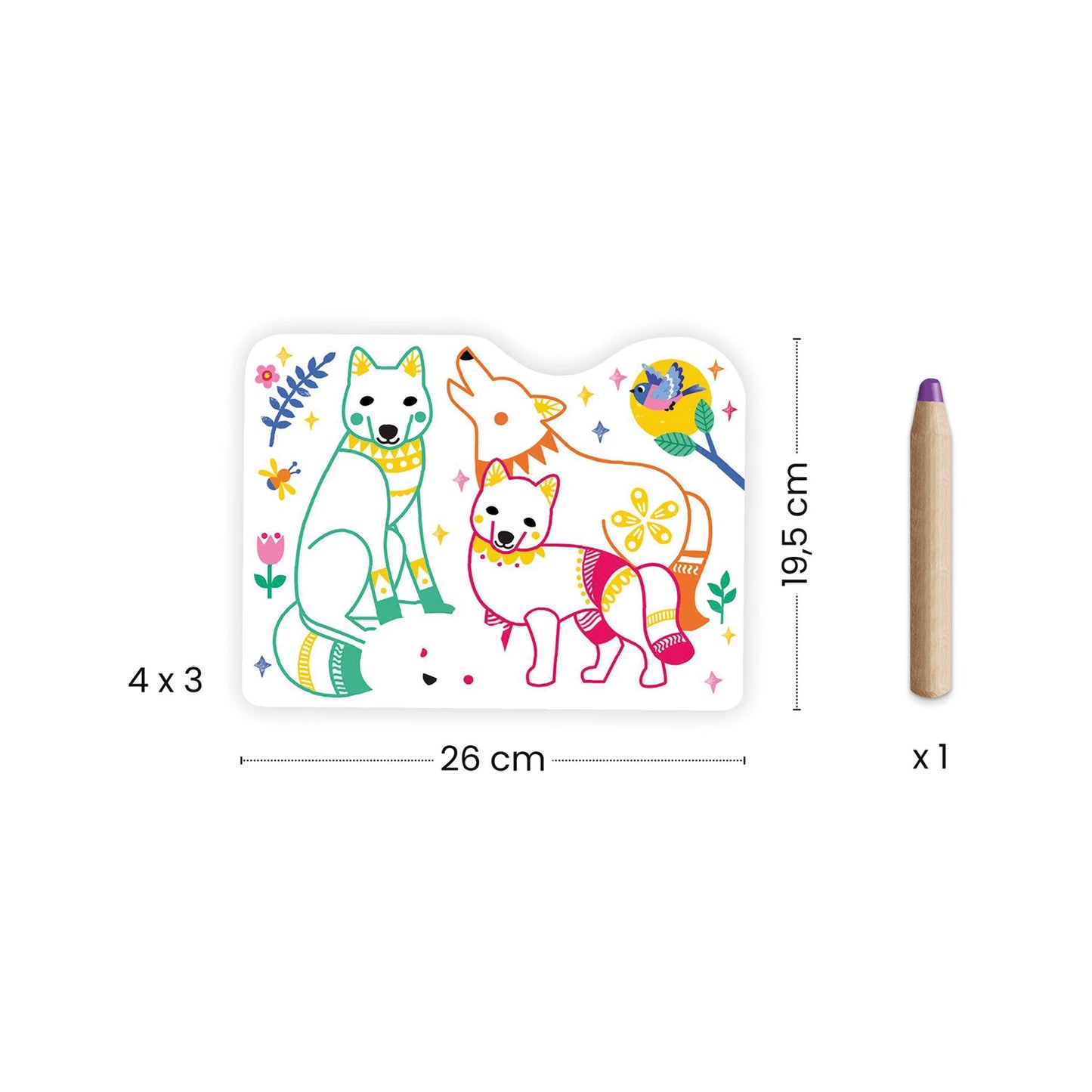 DISEGNI DA COLORARE COLORI NASCOSTI FAMIGLIA FORESTA