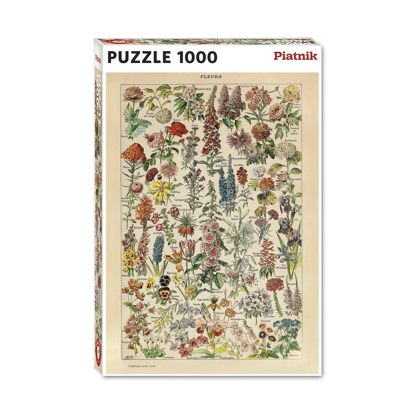 MILLOT: BLUMEN 1000 STÜCK