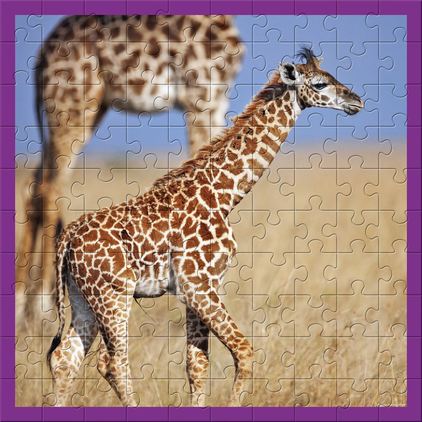GIRAFFE 100 PEZZI