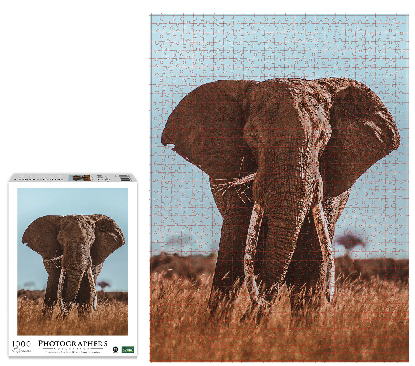 ÉLÉPHANT D'AFRIQUE 1000 PIÈCES (DONAL BOYD)