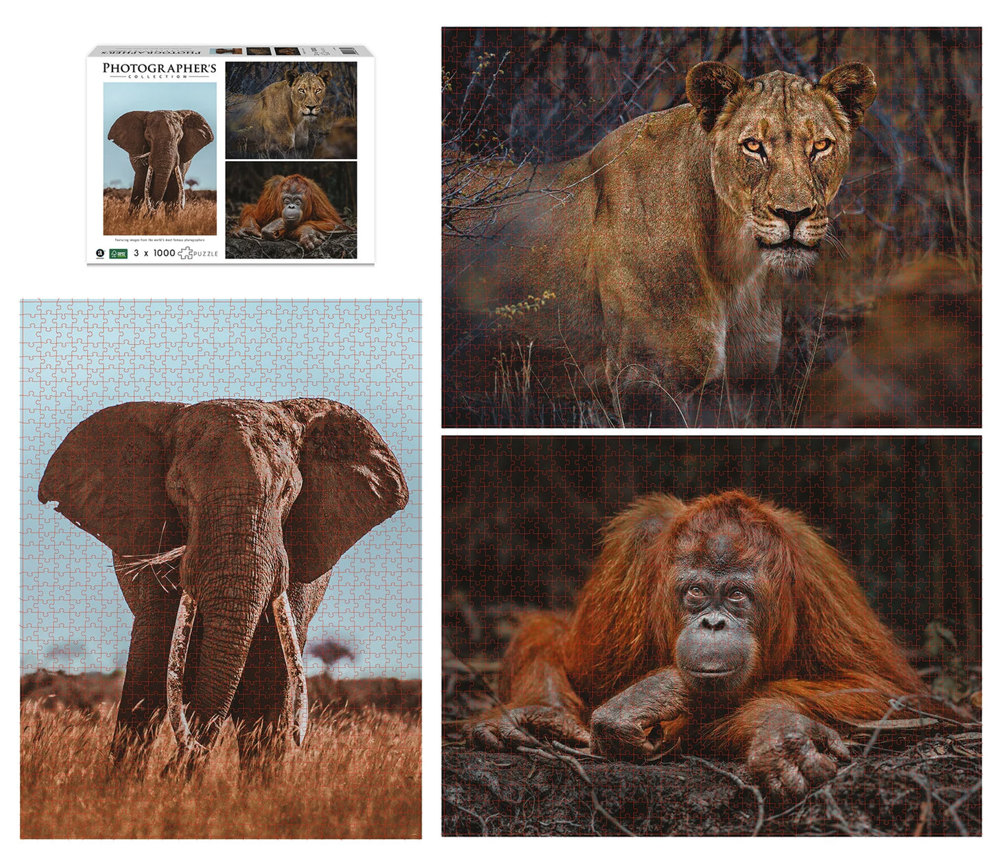 CONTACT VISUEL AVEC LES ANIMAUX SAUVAGES 3X1000 PIÈCES (DONAL BOYD)