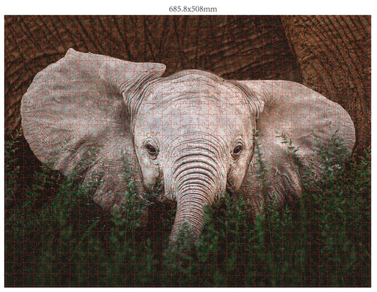FAUNA SELVATICA 3X1000 PEZZI (DONAL BOYD)