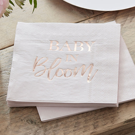16 TOVAGLIOLI BABY IN BLOOM ๐ถ