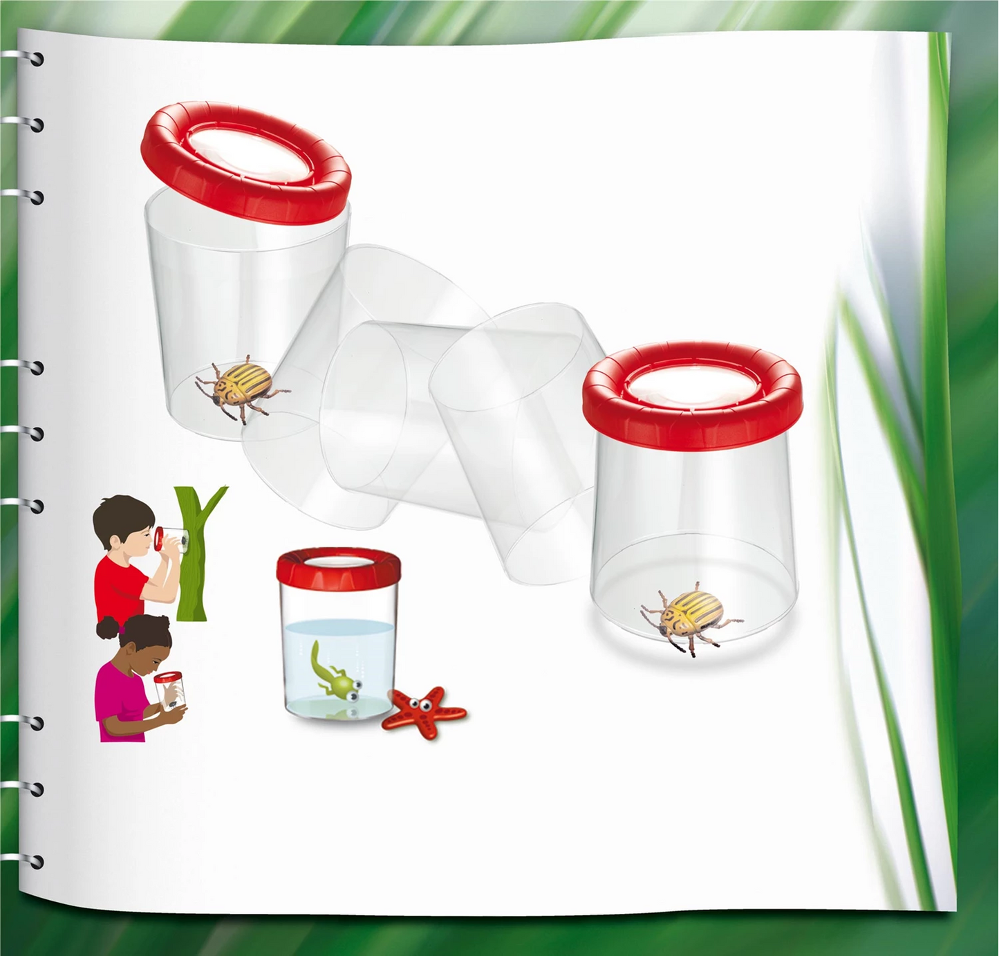 LENTE D'INGRANDIMENTO A TAZZA DA ESPOSIZIONE 100 MM 3X4 ASS