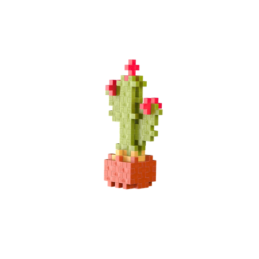 48 BLOCCHI CREATIVI DI CACTUS