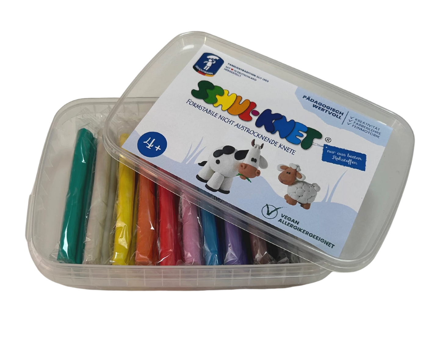 BOÎTE DE PÂTE À MODELER POUR L'ÉCOLE 10X40G