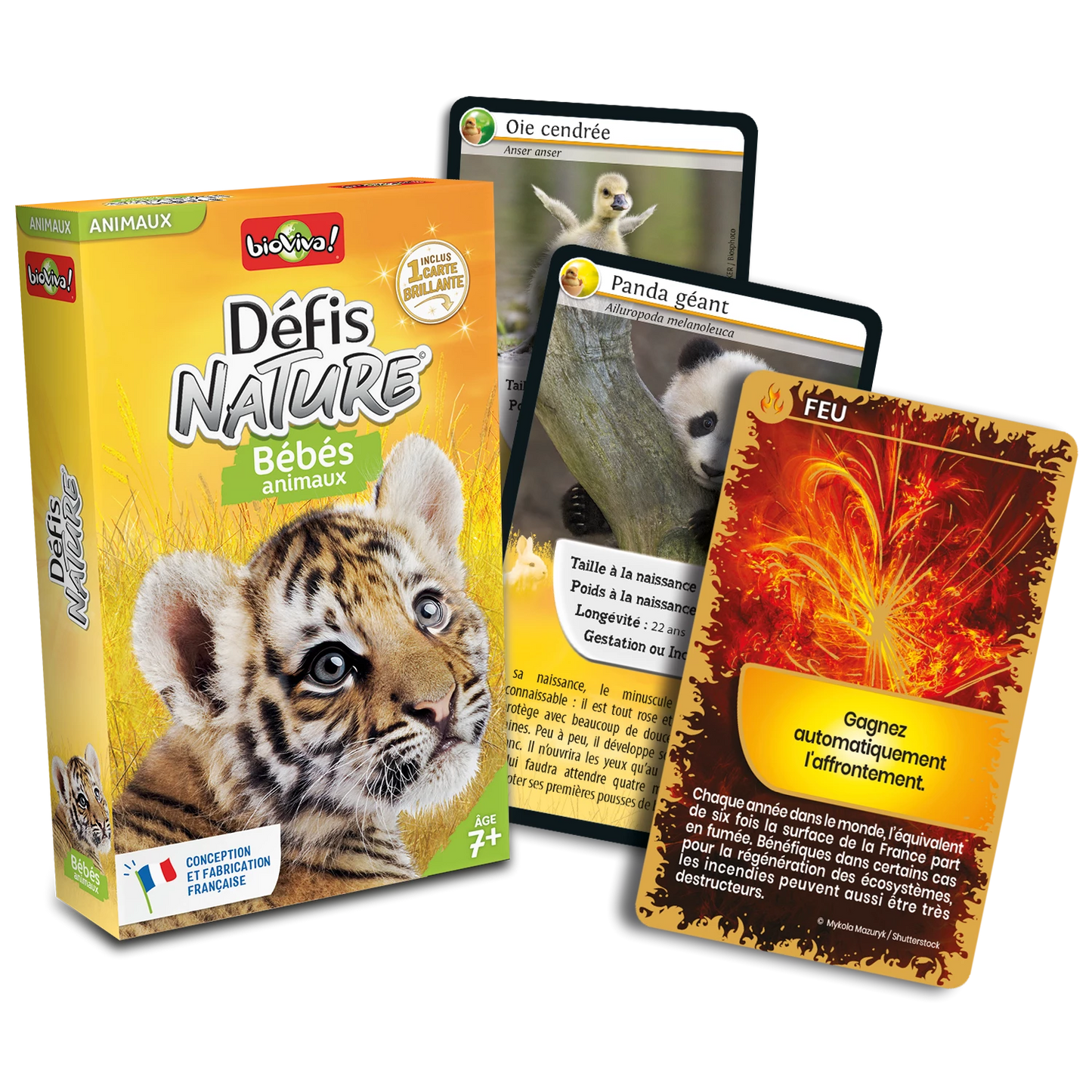BIOVIVA - DÉFIS NATURE BÉBÉS ANIMAUX (FR) - F