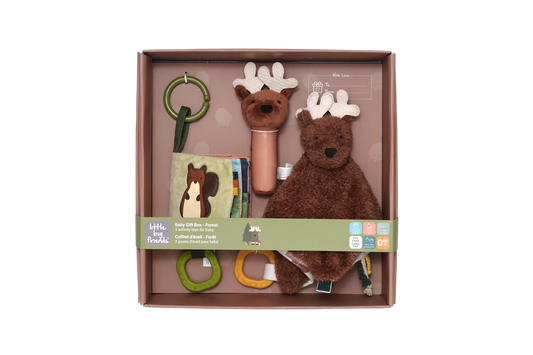 LITTLE BIG FRIENDS - LBF COFFRET D'ÉVEIL FORÊT - F/D/I/ML