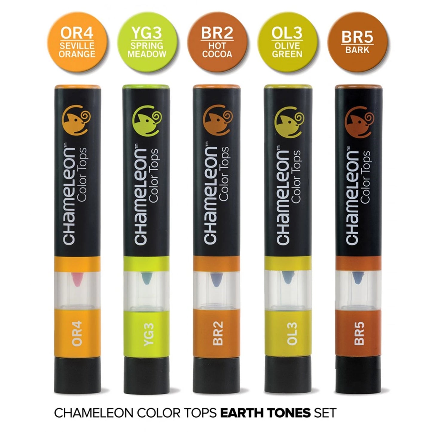LOT DE 5 STYLOS CHAMELEON DANS DES TONS TERRE
