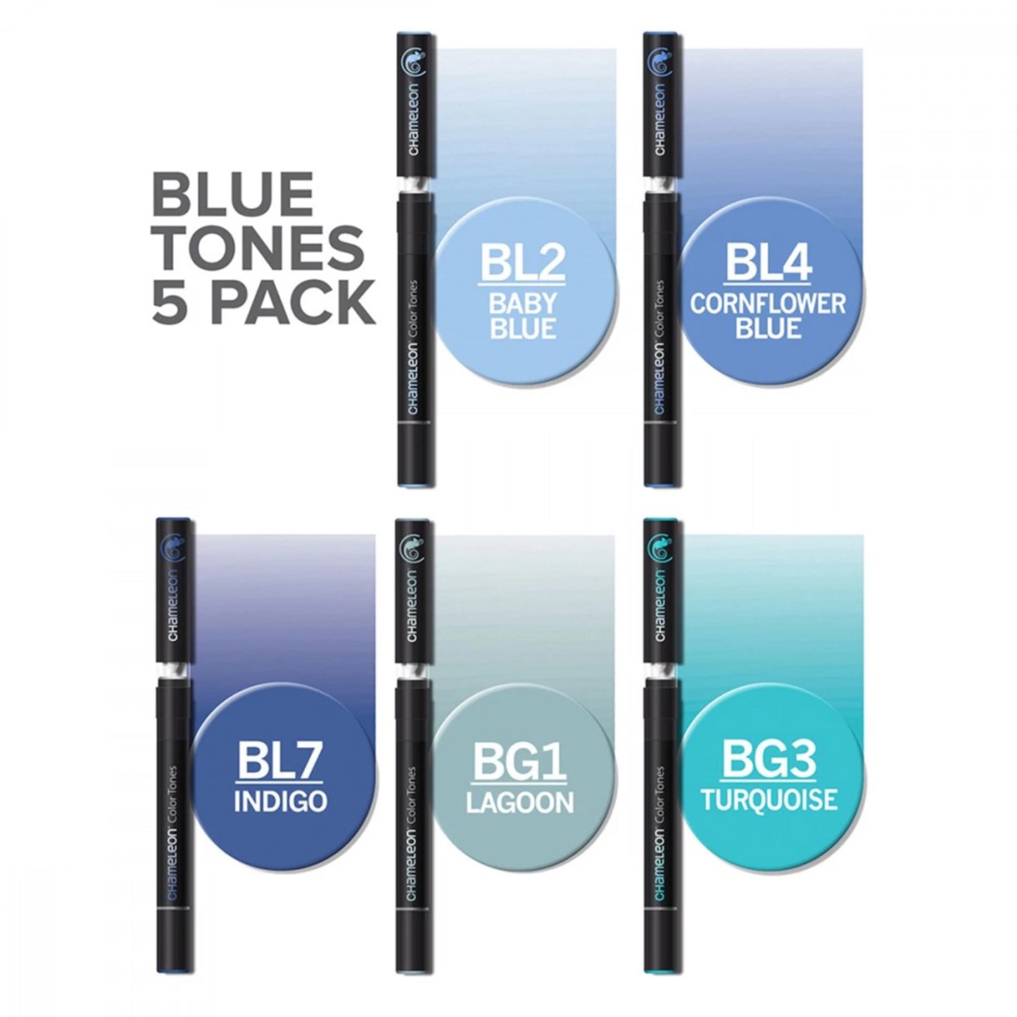 LOT DE 5 STYLOS CAMÉLÉON TEINTES DE BLEU