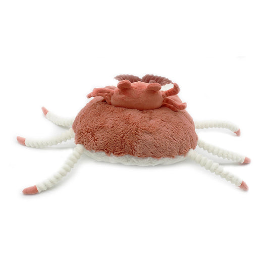 CASSECOU LE CRABE MAMAN ET BĂBĂ TERRE CUITE