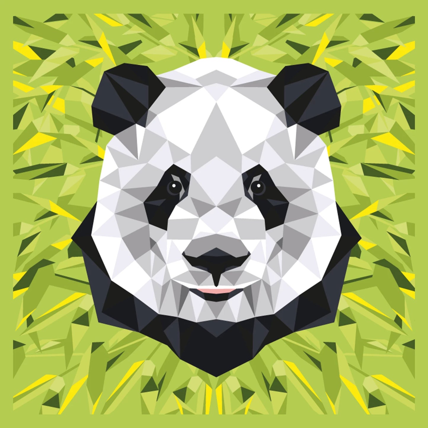 ENJOY ART PEINTURE N° 30X30CM PANDA